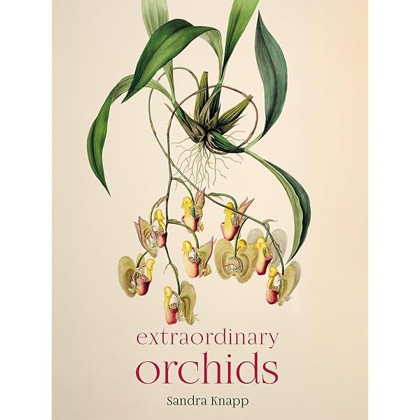 『ORCHIDS』ALEC PRIDGEON 91aVFIBRNZL.jpg